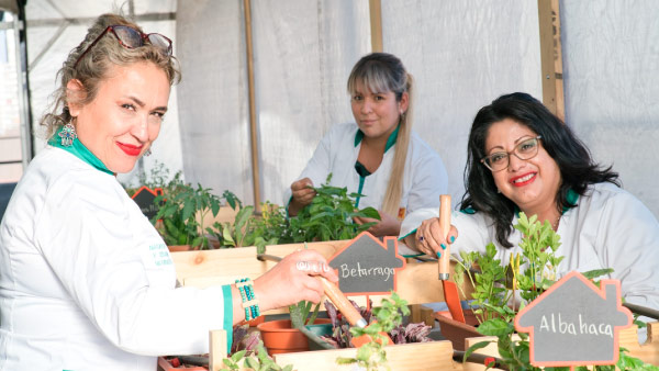 Carrera Profesional Naturopatía y Terapias Naturales IP Los Leones